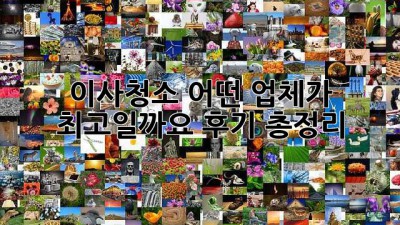 이사청소, 어떤 업체가 최고일까요? 후기 총정리!