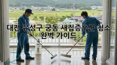 대전 유성구 궁동 새집증후군 청소 완벽 가이드